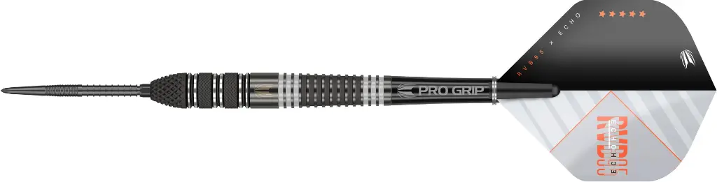 Target Steeltip Raymond van Barneveld Echo 95 Swiss Barrel.webp