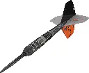 Target Steeltip Raymond van Barneveld Echo 95 Swiss Dynamic.webp