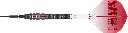 190404 NATHAN ASPINALL 95K 24G SP STEEL TIP DARTS 2025 FLAT_DartShopZuerich_Dart4You.webp