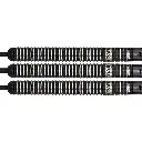 Steeltip Noir Gary Anderson Detail_DartShopZuerich_Dart4You.webp