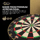 img-2SwWlh4M-large_DartShopZuerich_Dart4You.jpeg.webp