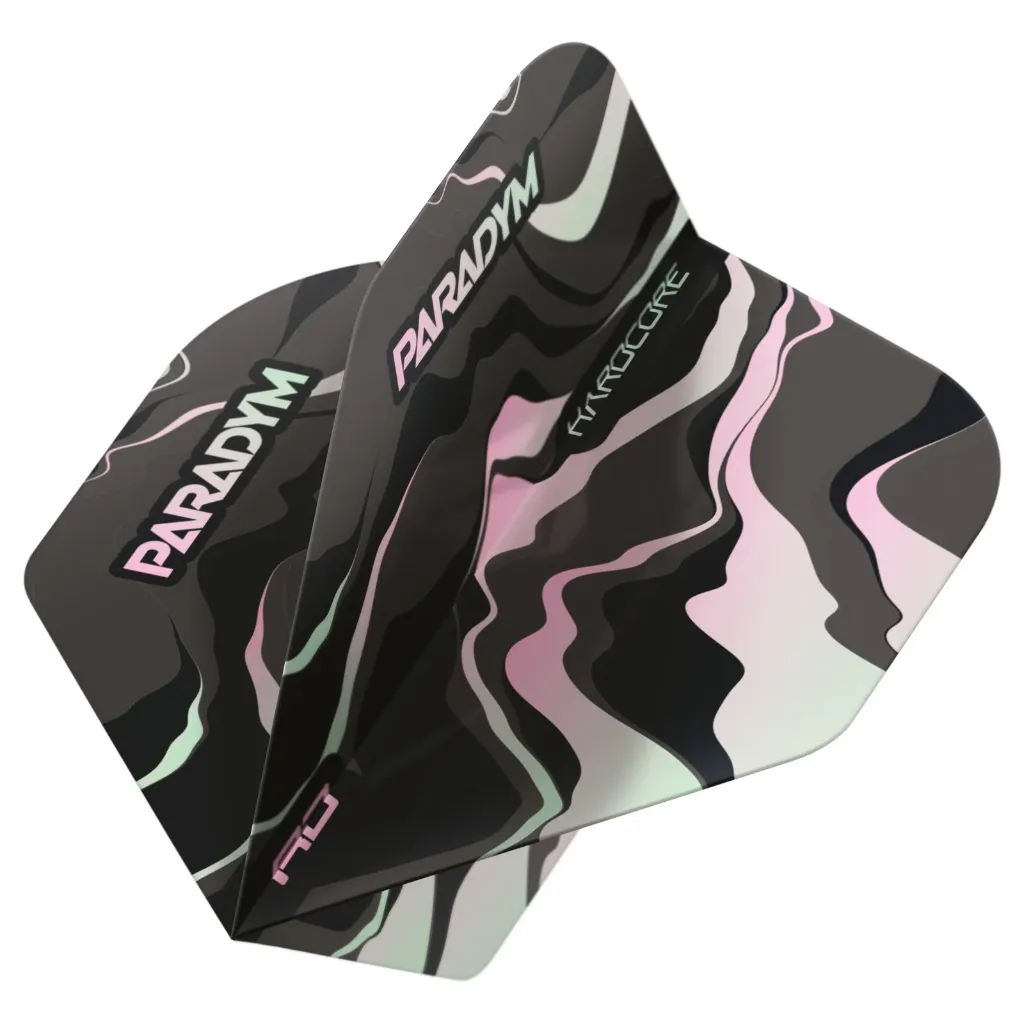 8130_ParadymHardcorePremiumStandard_Image_3_DartShopZuerich_Dart4You.jpeg.webp