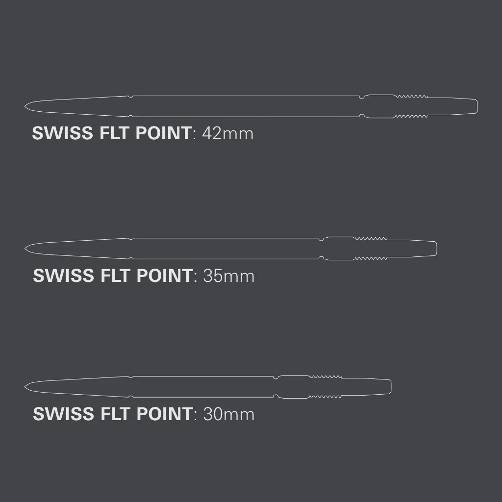 340412 SWISS FLT POINT - SILVER 42MM_PT03_DartShopZuerich_Dart4You.jpeg.webp